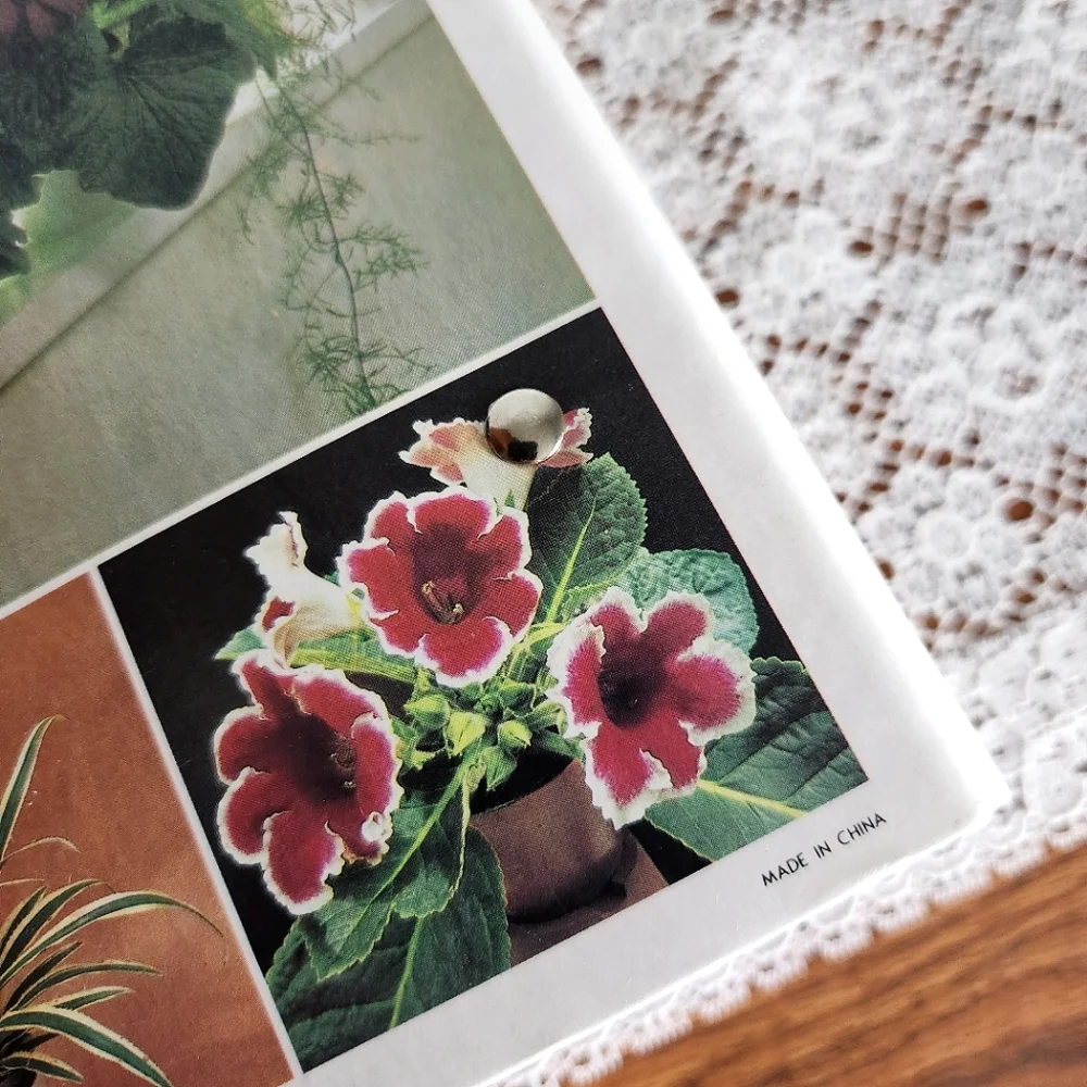 Vintage Success with House Plants Binder